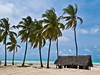 Zanzibar - Pláž, Jambiani (Dreamstime)